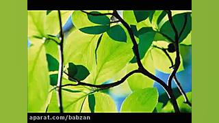 عادت