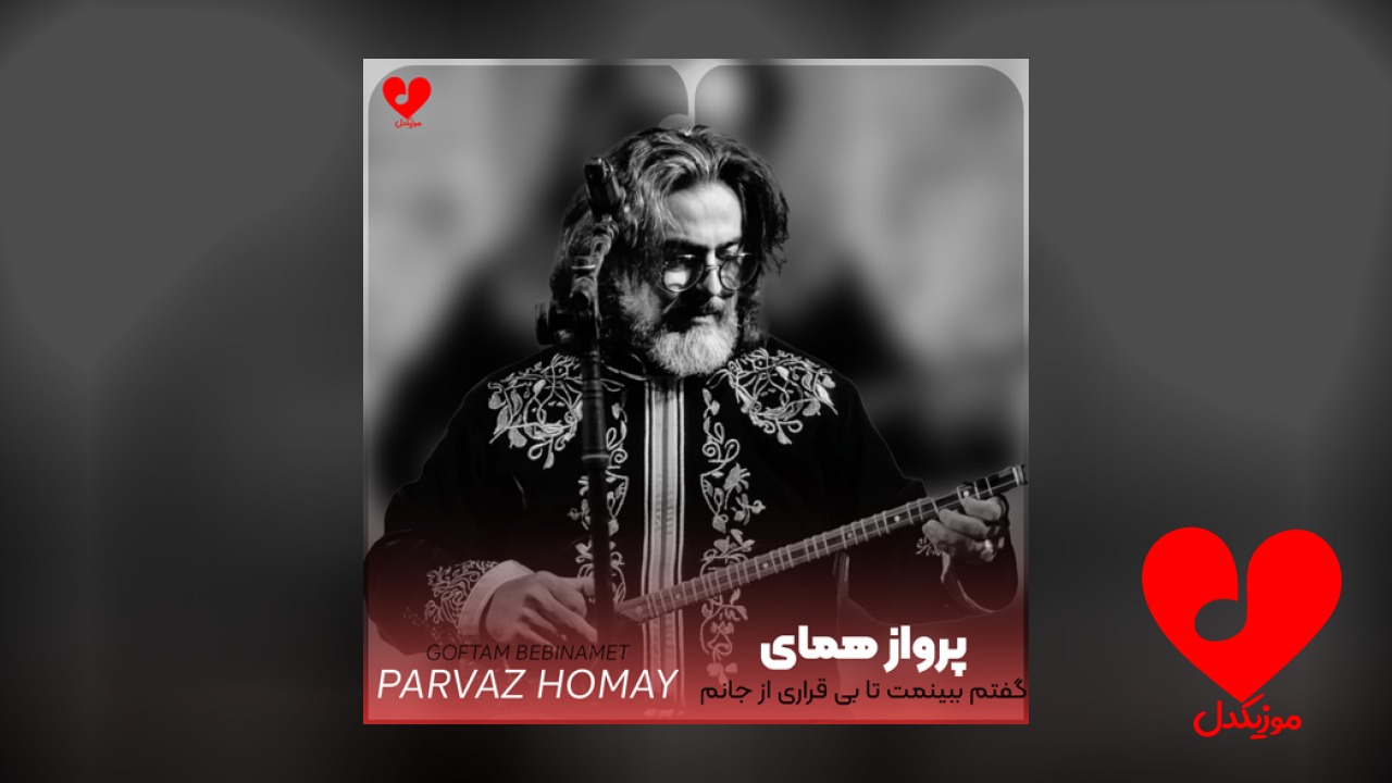 گفتم ببینمت تا بی قراری