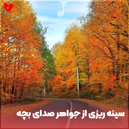 سینه ریزی