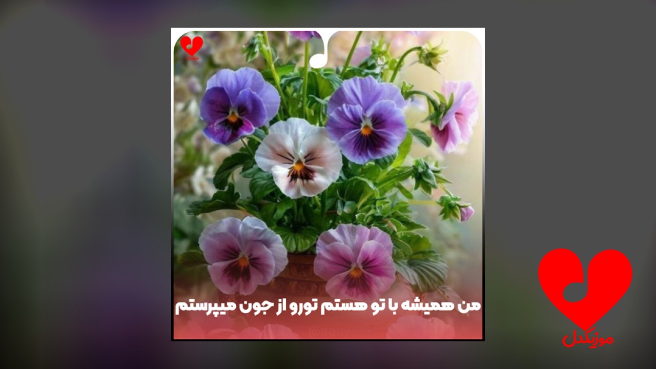 من همیشه با تو هستم تورو