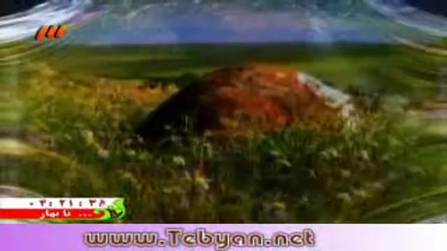 هی گل گل بگیریم واسه هم