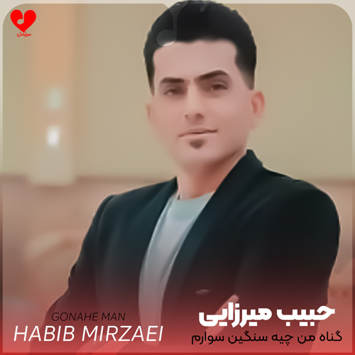 گناه من چیه سنگین سوارم