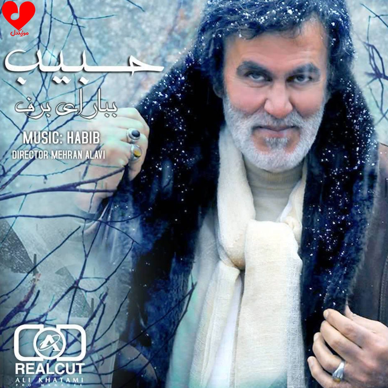 ببار ای برف