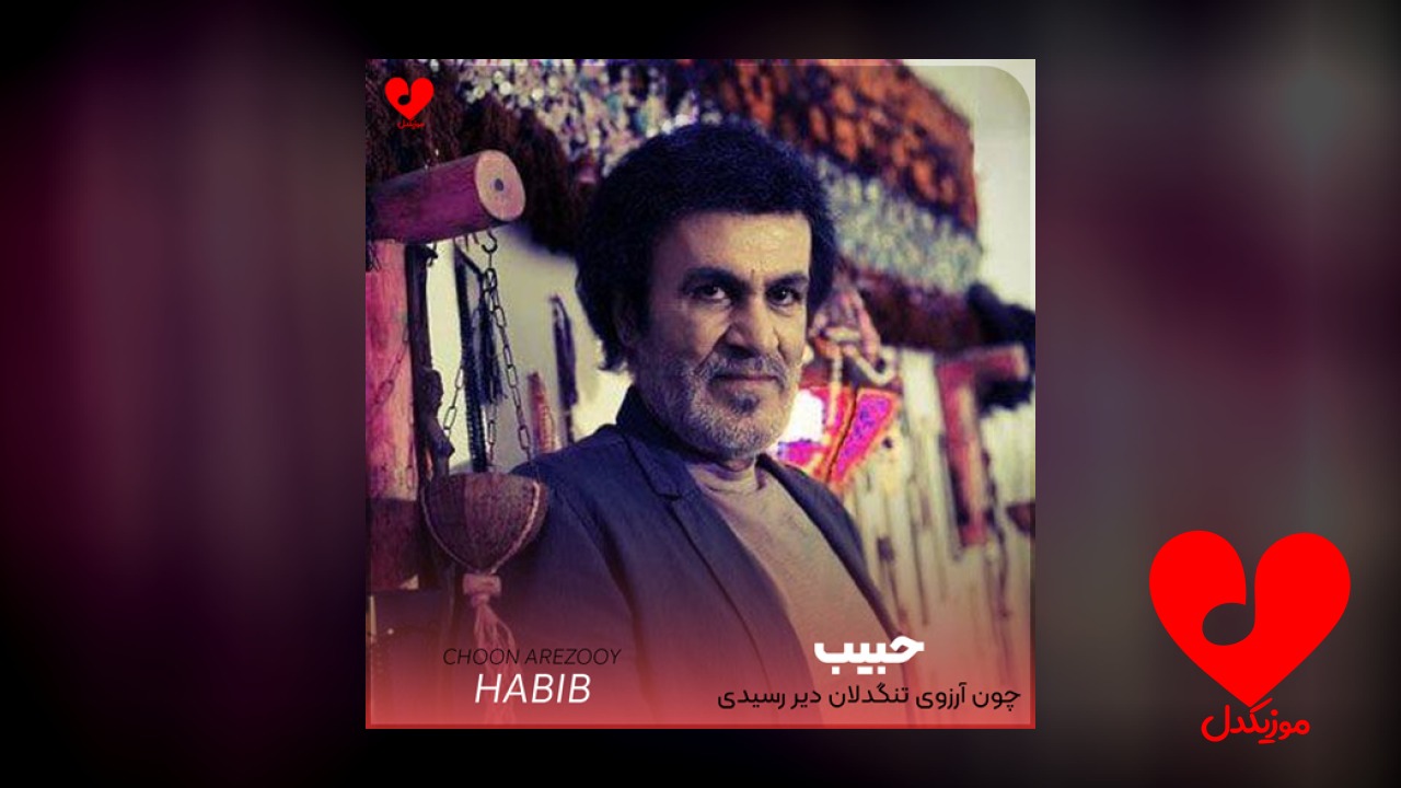 چون آرزوی تنگدلان دیر رسیدی