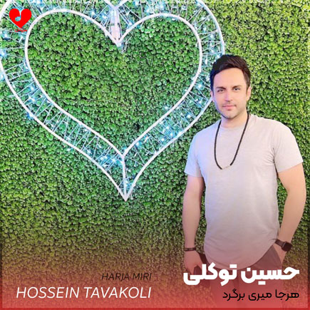 هرجا میری برگرد دلم