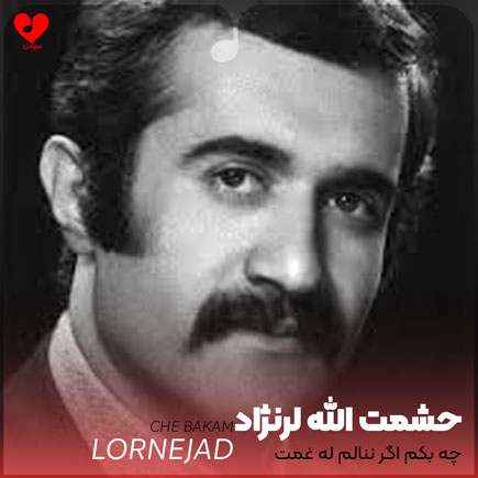 چه بکم اگر ننالم له غمت
