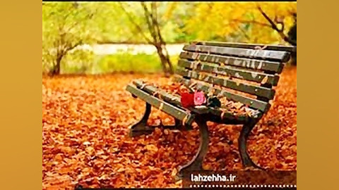 دلتنگی