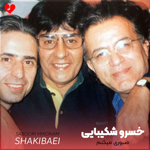 صبوری میکنم