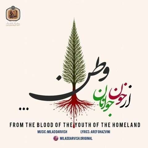 میلاد درویش