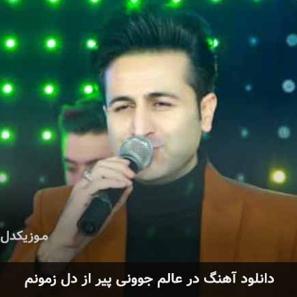 اهنگ در عالم جوونی پیر