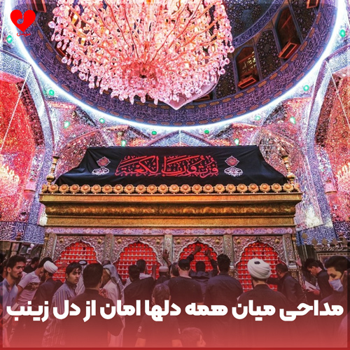 مداحی میان همه دلها امان