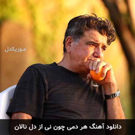 اهنگ هر دمی چون نی