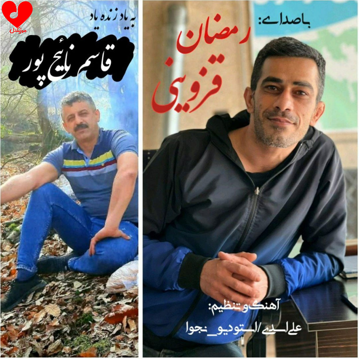 برار تنها بومه سیر