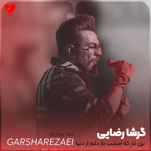 بزن تار که امشب باز دلم
