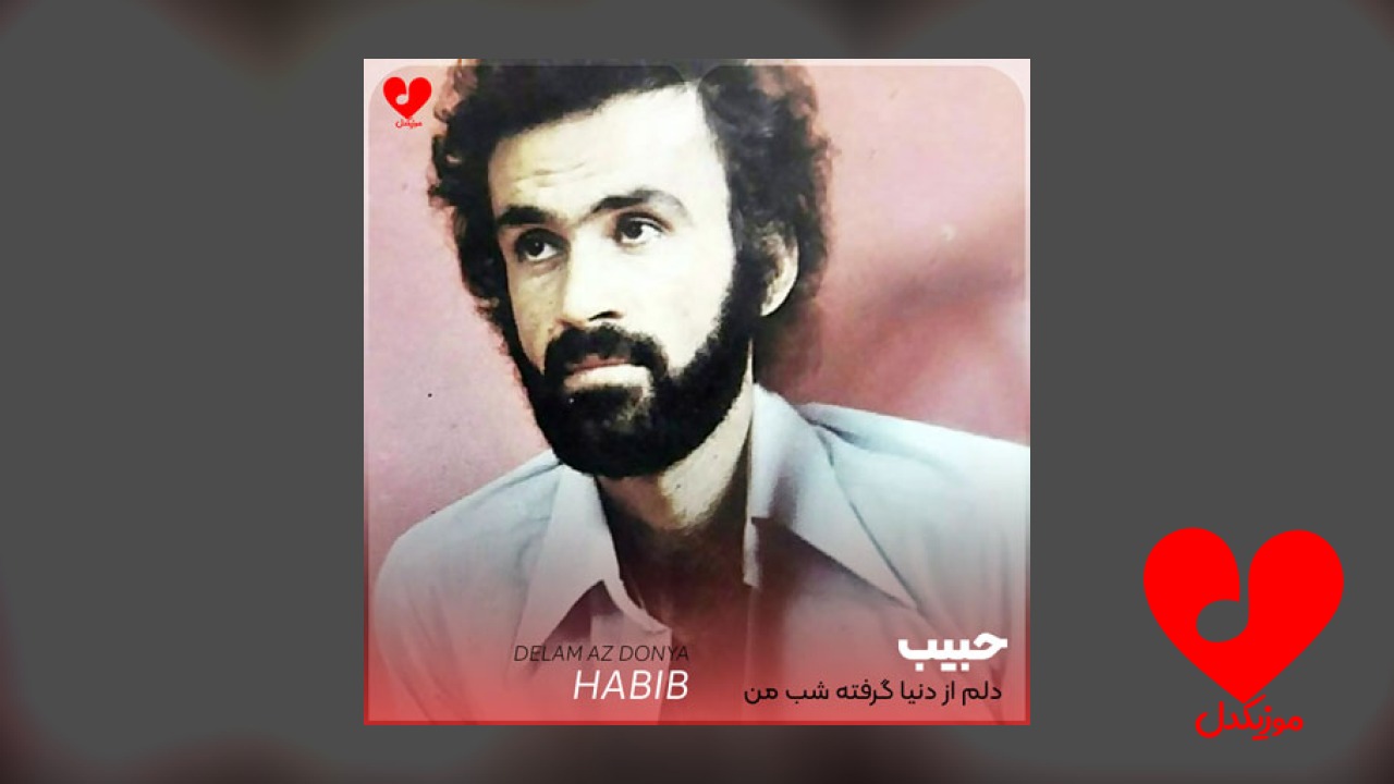 دلم