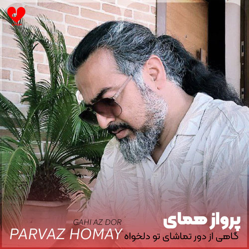 گاهی