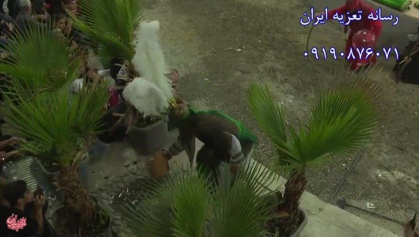 کش مو
