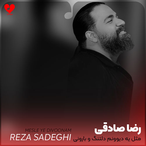 مثل یه دیوونم دلتنگ و بارونی