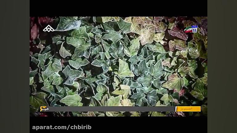 ویدئو جدید رضا صادقی
