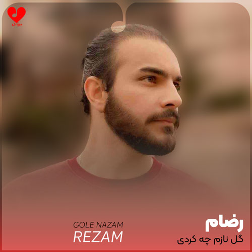 گل نازم چه کاری