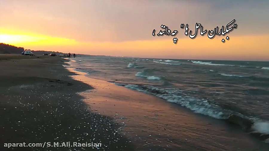 لب دریا