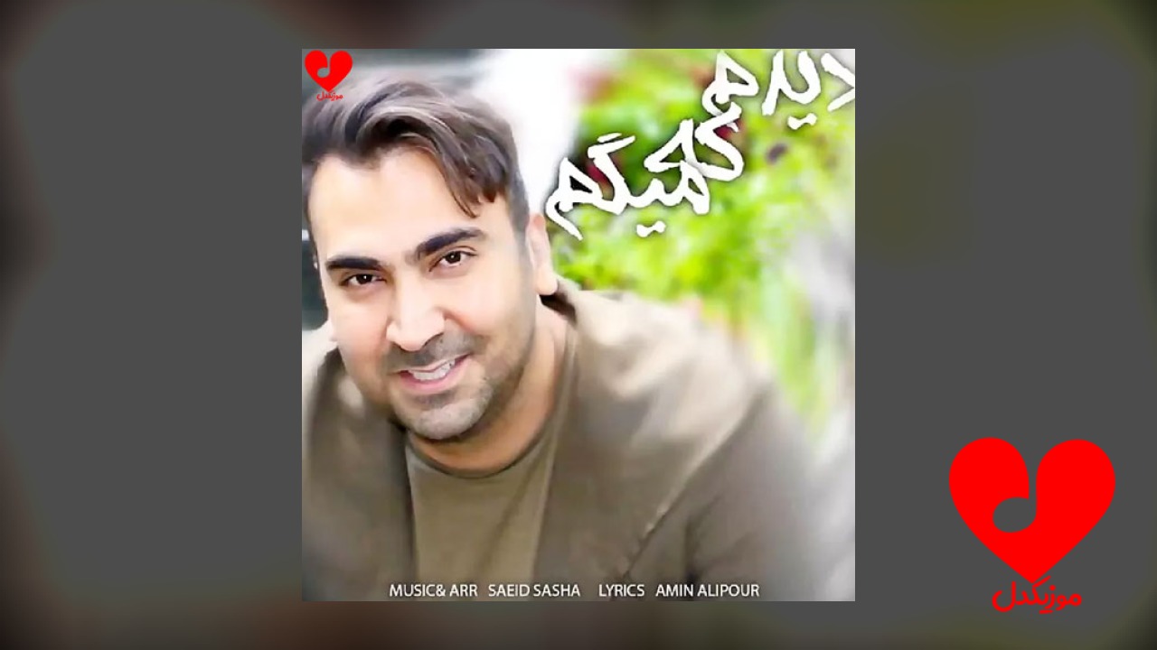 دیدم که میگم