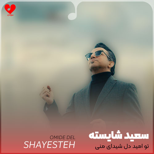 تو امید دل شیدای منی +