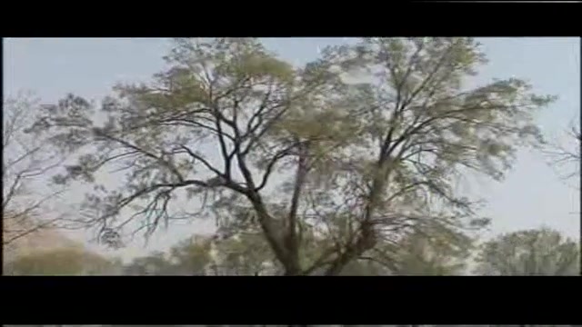 بی دوام