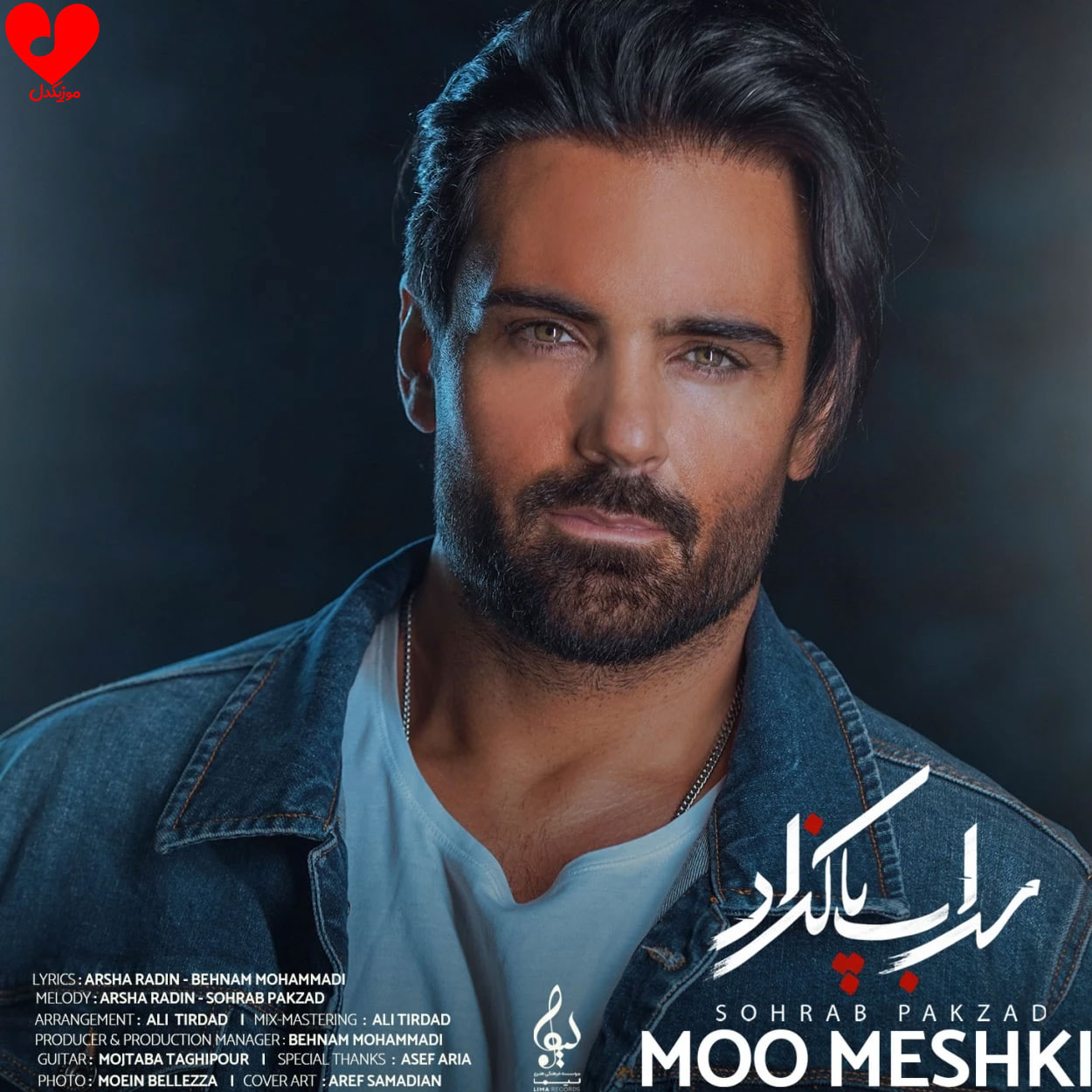 مو مشکی