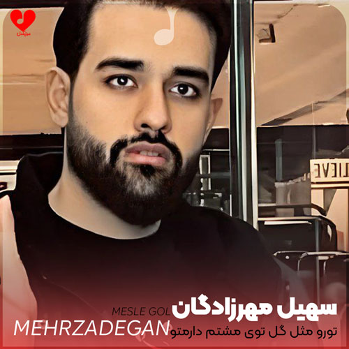 تورو مثل گل توی مشتم دارمتو