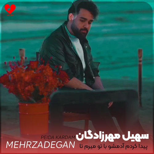 پیدا کردم آدمشو با