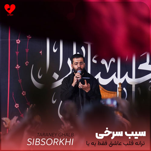 مداحی ترانه قلب عاشق
