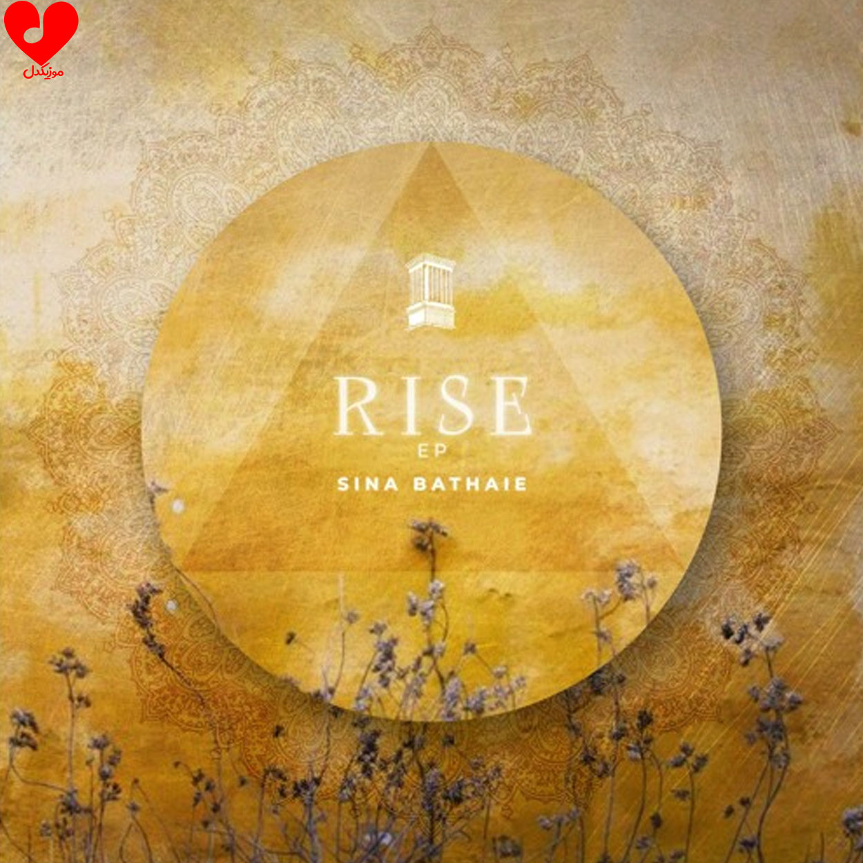 Rise