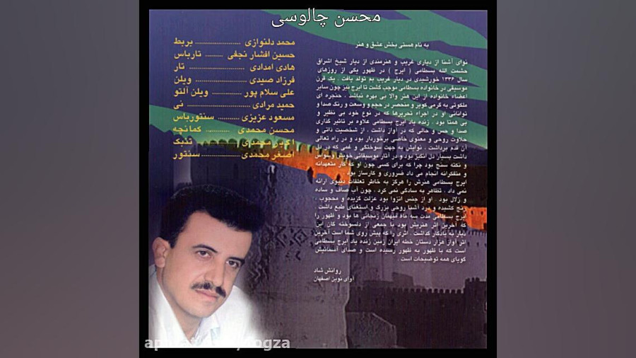شانه ی شب