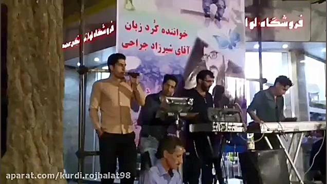 دل ربا