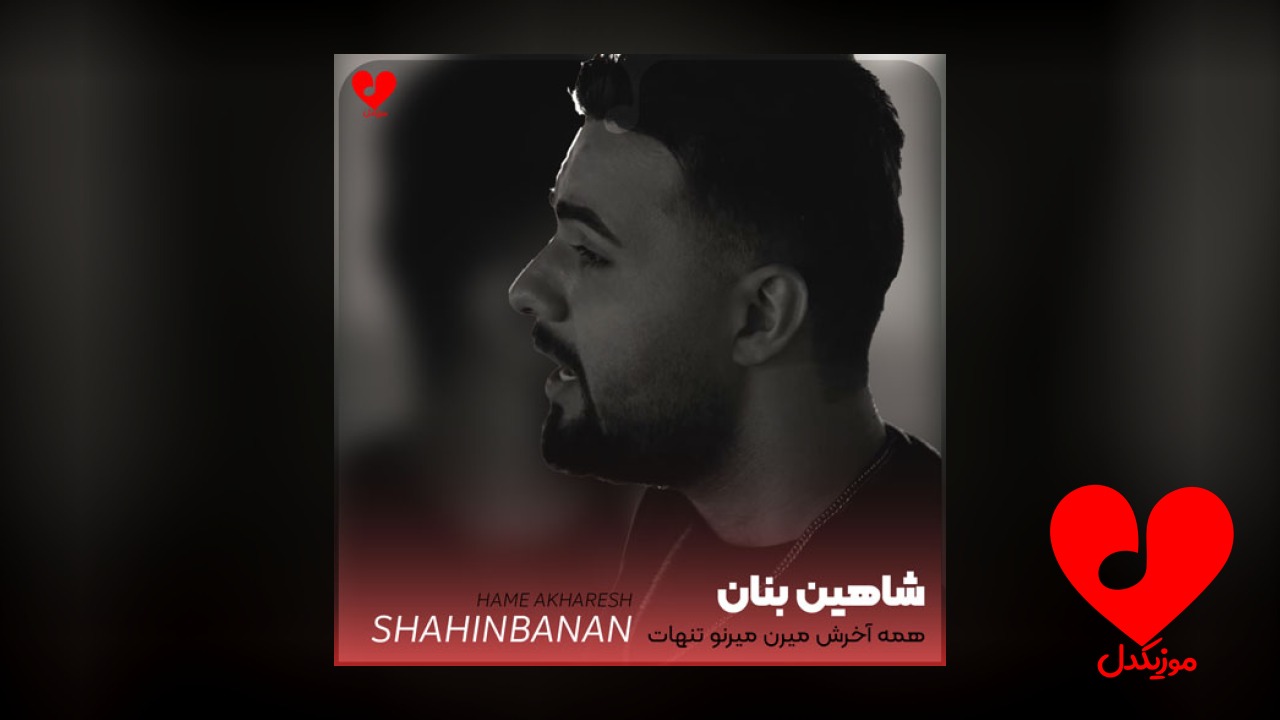 همه آخرش میرن میرنو تنهات میذارن