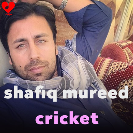 cricket