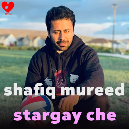 stargay che