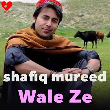 Wale Ze