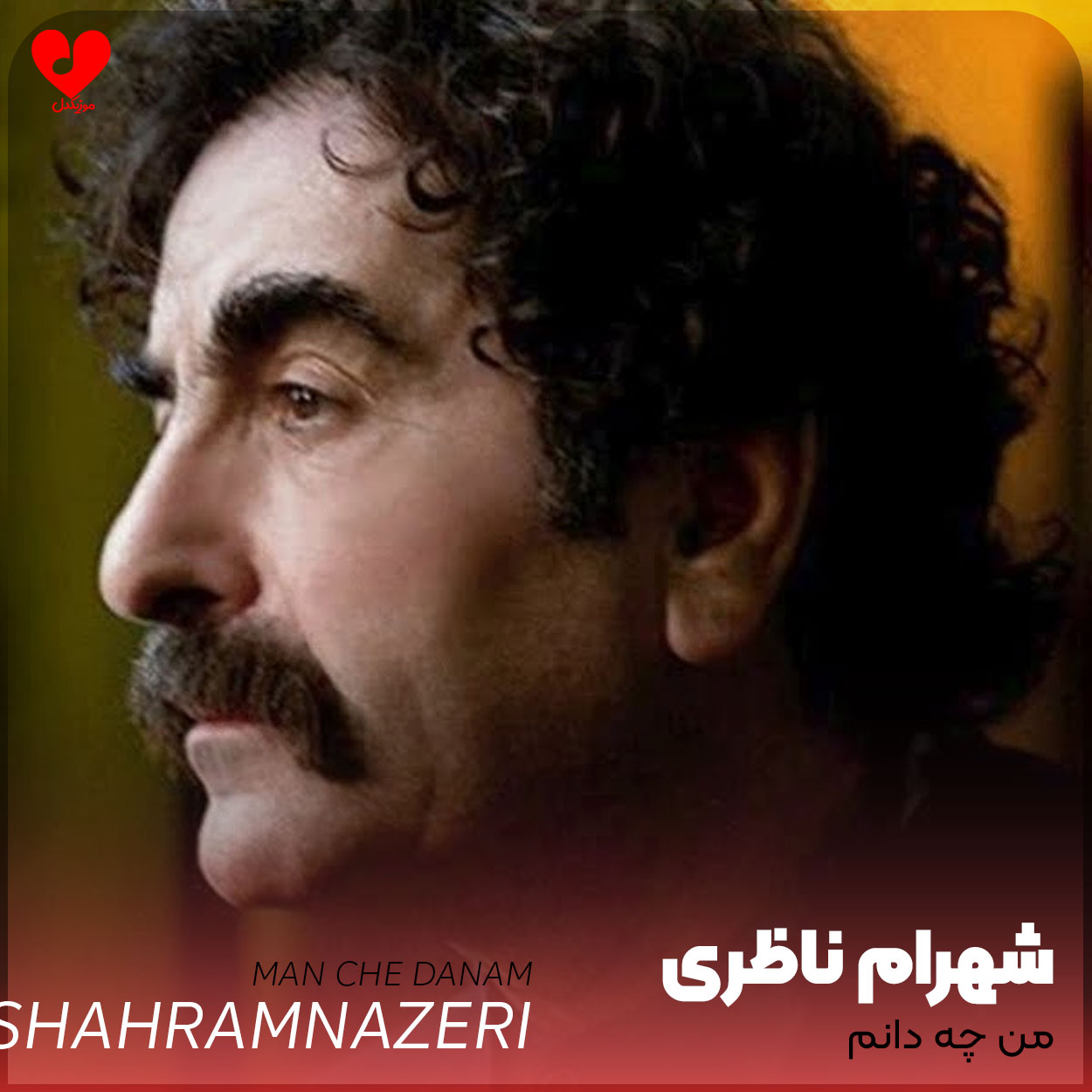 من چه دانم