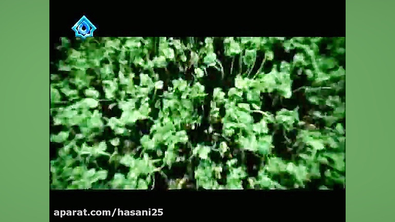 سنی گوردوم