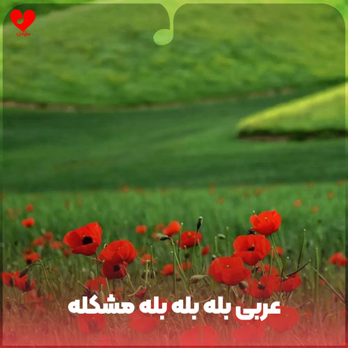 عربی بله بله بله مشکله
