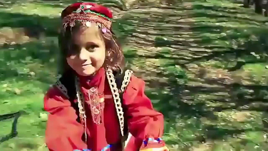 گل انار