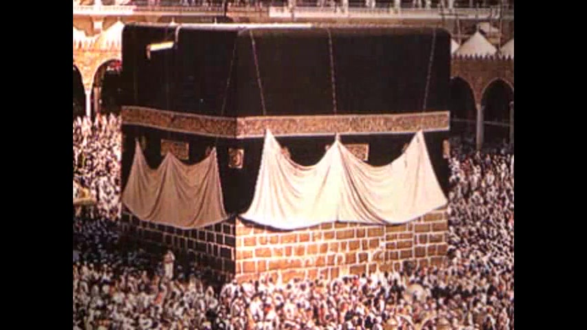 دلم میخواد