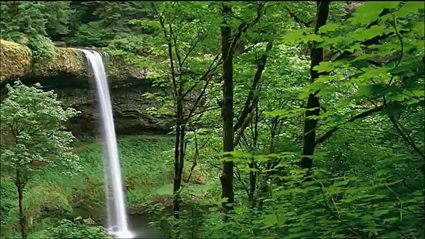 رواله با تو