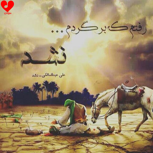 نشد