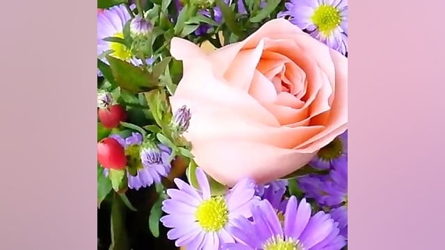 تو بودی