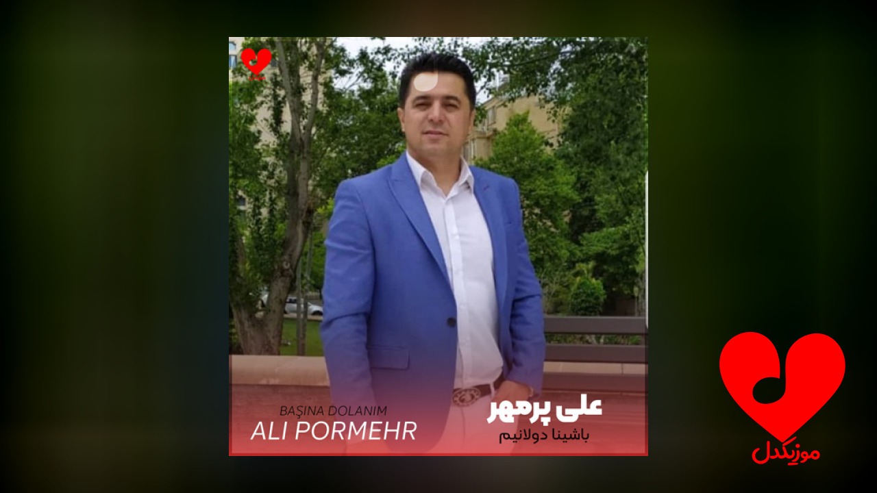 باشینا دولانیم