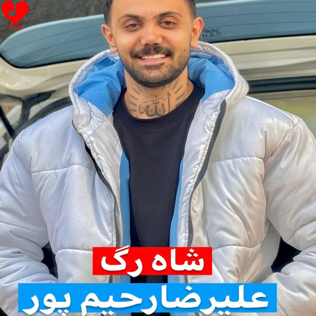 شاهرگ