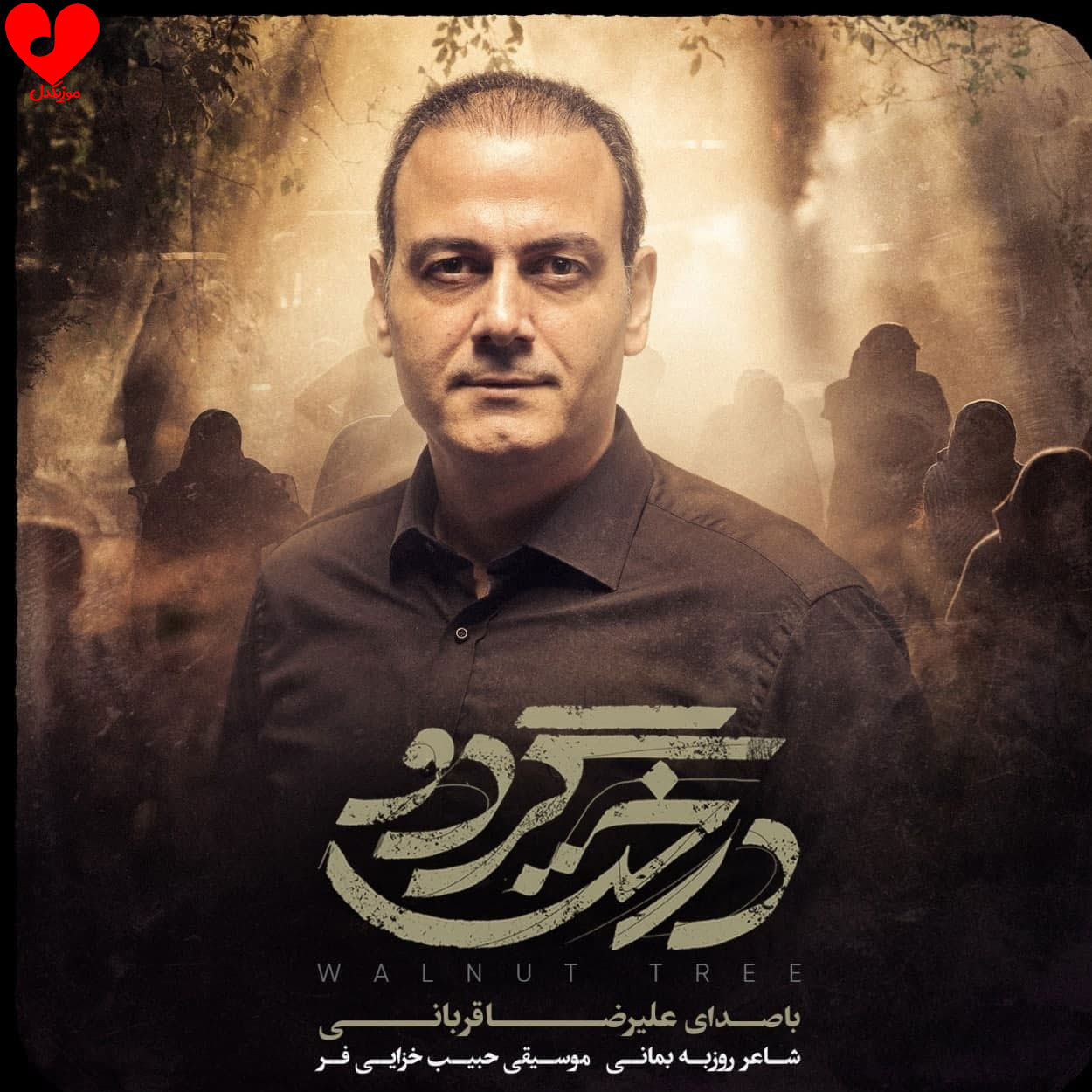درخت گردو